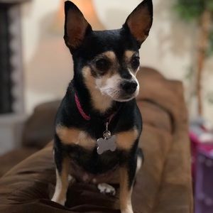 Meet your Posher, Annel